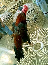 Buntel mayit, ada yang mengucapkan mbuntel mayit adalah salah satu motif pamor yang bentuk gambarannya menyerupai belitan kain yang menyelimuti seluruh badan bilah keris, tombak, mata panah atau pedang. Welcome To Flickr