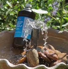 The Best Fountain Secret In The World The Homestead Survival Water Garden Water Features In The Garden Water Features