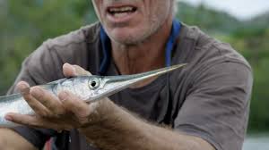 Series airs sundays at 9 pm et/pt. Jeremy Wade Has Some Clever Gear To Help Snag A Needlefish River Monsters Youtube
