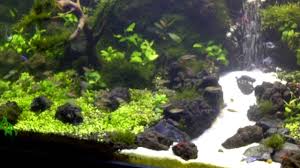 Under Water Waterfall Aquascape Fresh Water Fish Tank Aquarium Sand Aquascape