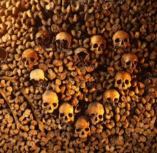We did not find results for: Im Untergrund Partys Zwischen Schadeln Die Katakomben In Paris Welt