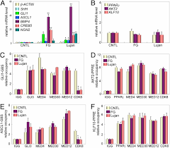 Med12 Mutations Link Intellectual Disability Syndromes With Dysregulated Gli3 Dependent Sonic Hedgehog Signaling Pnas