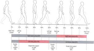 Gait Training With Ambulation Aids