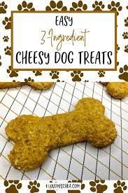Easy 3 Ingredient Cheddar Dog Treats Love Mischka Recipe Dog Treats Homemade Recipes Dog Recipes Healthy Dog Treats Homemade