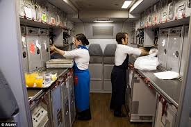Maybe you would like to learn more about one of these? Flight Attendants Reveal The Most Bizarre Questions They Ve Been Asked In Interviews Daily Mail Online