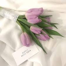 Hannah On Twitter Flower Aesthetic Lavender Aesthetic Beautiful Flowers