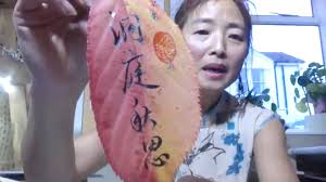 LYQS meeting 14 November 2020