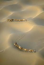 Phil Marion Photography In 2020 Winter Scenery Deserts Of The World Desert Places