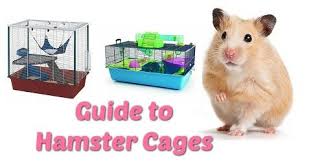 hamster cages hamster cage hamster habitat syrian hamster dwarf hamster hamster hamster cages winter white hamster