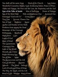 Check spelling or type a new query. Lion Of Judah Wall Chart Laminated Rose Publishing Amazon De Bucher