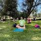 Free Fitness in the Park event image