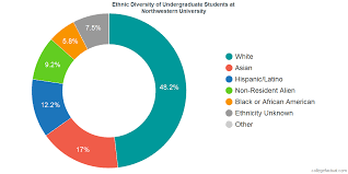 northwestern university diversity racial demographics