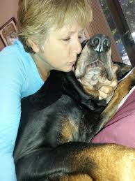 Foster dog bio and photos posted