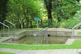 Blog Erdhaftig Natur Umweltkommunikation Offentlichkeitsarbeit Auf Den Punkt Gebracht Konzeption Text Worksh Offentlichkeitsarbeit Konzeption Umwelt