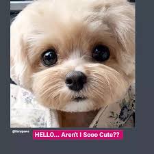 Heidi Ann DeVito (Maiden name Fenstermacher)