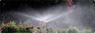 Cascade Landscape Salem Landscaping And Lawn Care Portland Landscaping