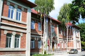 Protectie sociala, institutii, medical, copii, pediatrica, asistenta medicala pediatrica, asistent. DirecÅ£ia De AsistenÅ£Ä ComunitarÄ Iasi IaÈi Gondola Sinaia