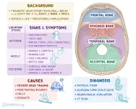Image result for icd 10 code for left occipital fracture
