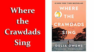 Where The Crawdads Sing Best Sellers Book 2019 Book Club Questions Singing Sunshine Books