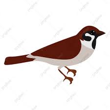 Maybe you would like to learn more about one of these? Gambar Vektor Ilustrasi Burung Pipit Kecil Dengan Latar Belakang Putih Clipart Burung Gereja Burung Ilustrasi Png Dan Vektor Dengan Latar Belakang Transparan Untuk Unduh Gratis