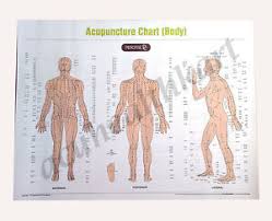 Details About Acupuncture Sujok Acupressure Reflexology Spinal Cupping Charts Set Of 10