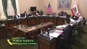 Assembly Standing Committee on Public Safety Video