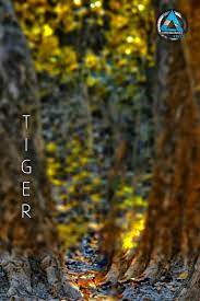 Pin By Varikota Shiva On Atif Khan Blur Photo Background Desktop Background Pictures Blurred Background Photography