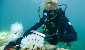 Depending on their specialty, they can earn well over $200,000 a year. 21 Climate Change Jobs That Can Help You Make A Difference To The World Greencitizen