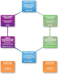 43 Cogent Current Chart Flow Of The Congress Flowchart