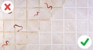 Worms that appear in dreams within fruit may be talking about hidden corruptions in situations that have a good and proper appearance. Worm In The Bathroom Here Are Tips To Get Rid And Repel Them