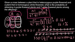 How To Solve Probability Problems In Genetics Using Factorial Method Youtube