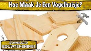 Vogelhuisjes Maken Met Een Bouwtekening Hoe Maak Je Houten Vogelhuisjes Vogelhuisjes Vogelhuisje Bouwtekening