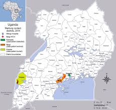 Analysts at guinea's national hemorrhagic fever laboratory and the institute pasteur in senegal later confirmed the marburg diagnosis. Locations Where Patient With Confirmed Marburg Virus Disease Lived Download Scientific Diagram