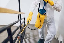 Our pest control exterminators will get rid of your pest problems. Pest Control Canberra Queanbeyan