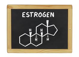 what is estrogen live science