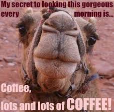60 Wednesday Coffee Memes Images Pics To Get Through The Week Wednesday Coffee Coffee Jokes Coffee Quotes