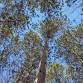 Family Nature Walks - Northern Lakes Region