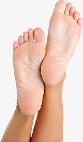 Smelly Feet Foot Leg Feet Png Transparent Clipart Image And Psd File For Free Download Foot Powder Hard Skin Remover Feet Care Use these free feet png #3053 for your personal projects or designs. smelly feet foot leg feet png