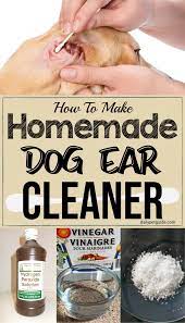 Dogs' ears are sensitive, and having grubby ears can be upsetting for your dog. Homemade Dog Ear Cleaner Dog Ear Cleaner Homemade Dog Ear Cleaner Cleaning Dogs Ears