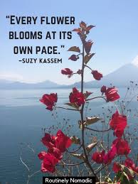 Maybe you would like to learn more about one of these? Short Flower Quotes 110 Amazing Flower Sayings Routinely Nomadic
