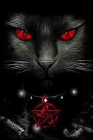 Kemudian bakterinya menyebar lalu mata kucing menjadi berair dan belekan. 15 Ide Darkside Binatang Hewan Serigala Melolong