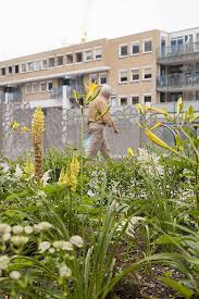 Nieuwegein Urban Landscape Landscape Architecture Architecture