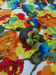 Image result for Garcinia volkensii