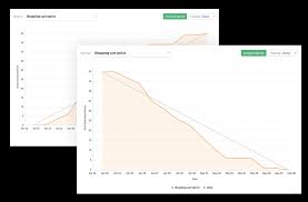 agile reports zoho sprints