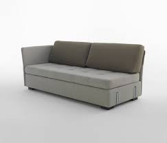 Image result for isolona