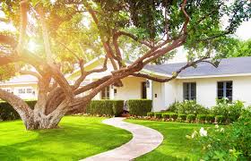 A tree house is a great addition to your garden and home, if you have the proper tree. What A Tree In Front Of A House Means In Feng Shui Lovetoknow