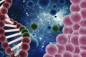 Studypages - Gene Therapy in Treating Patients With Human Immunodeficiency  Virus-Related Lymphoma Receiving Stem Cell Transplant