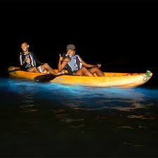 Bioluminescent Beach Puerto Rico Fajardo Discover Bioluminescence Bio Bay Kayak Tour In Fajardo Puerto Rico Kayaking Kayak Tours Best Fishing Kayak