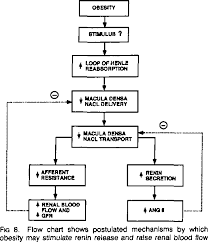 figure 8 from louis k dahl memorial lecture renal and