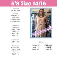 Lularoe Carly Swing Dress And Joy Lace Longline Vest On Plus